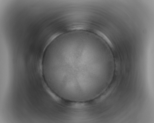 X0000114070890200910051336