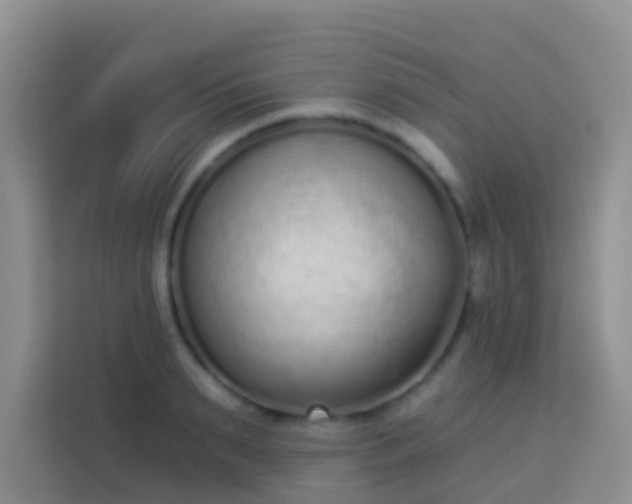 X0000114070895200910051336