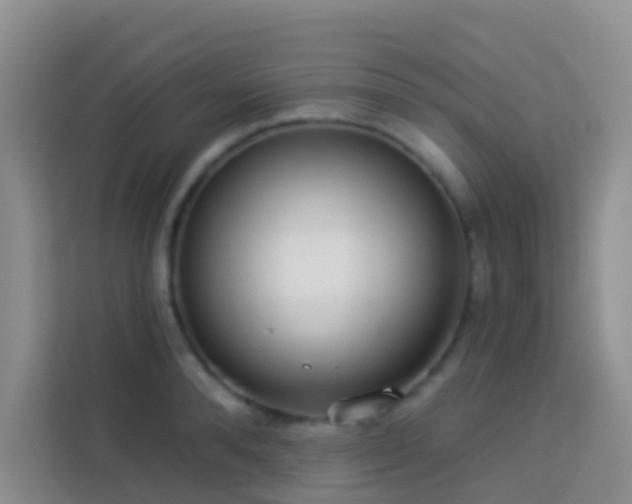 X0000114070896200910051336