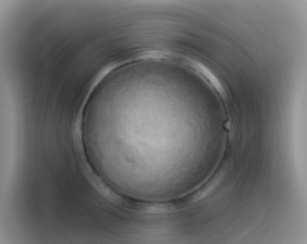 X0000114070899200910051336