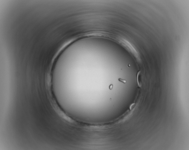 X0000114070900200910051336