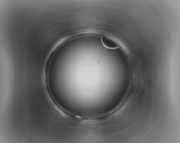 X0000114070902200910051336