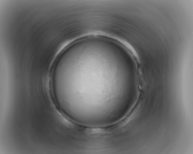 X0000114070903200910051336