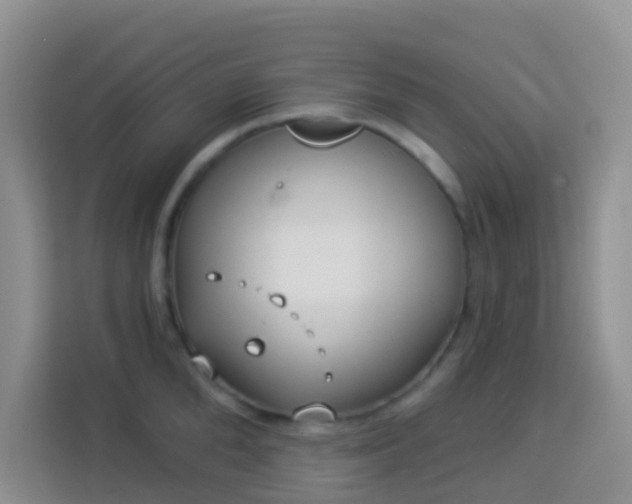 X0000114070904200910051336