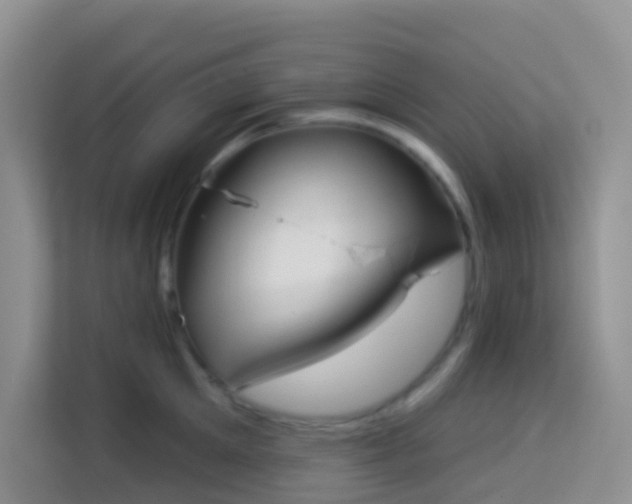 X0000114070905200910051335