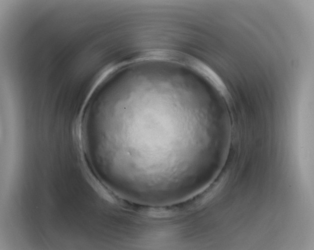 X0000114070907200910051335