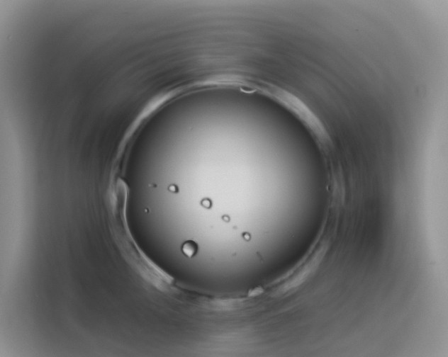 X0000114070908200910051335