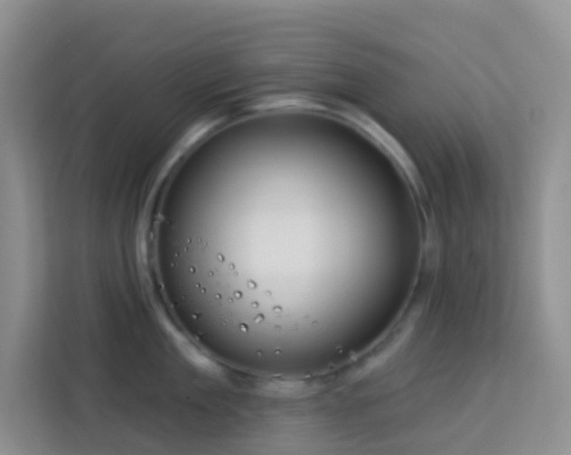 X0000114070909200910051335