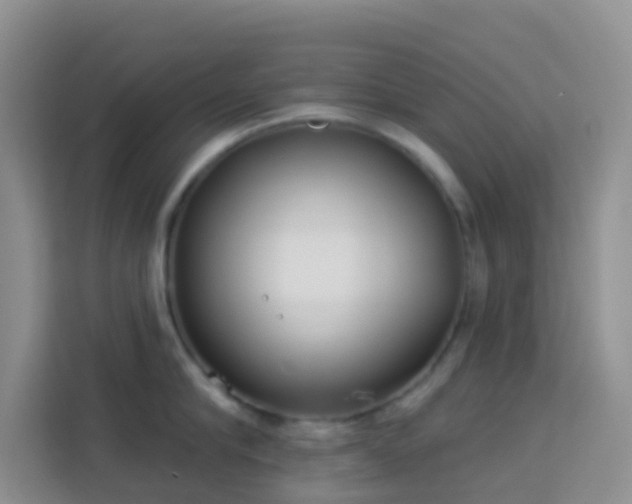 X0000114070910200910051335