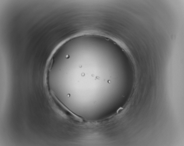 X0000114070912200910051335