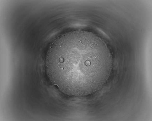 X0000114070917200910051335