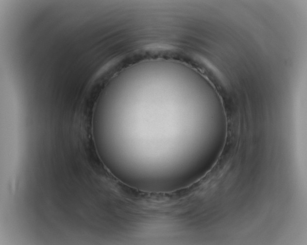 X0000114070919200910051335