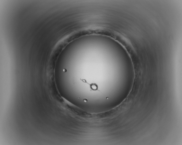 X0000114070920200910051335