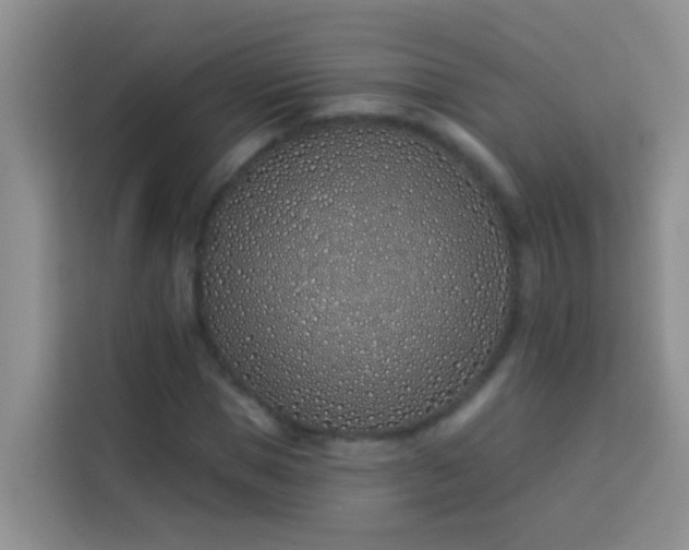 X0000114070921200910051335