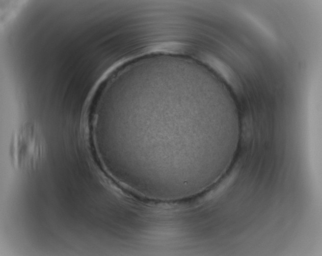 X0000114070923200910051335