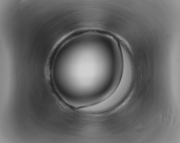 X0000114070925200910051335