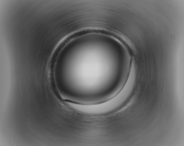 X0000114070926200910051335