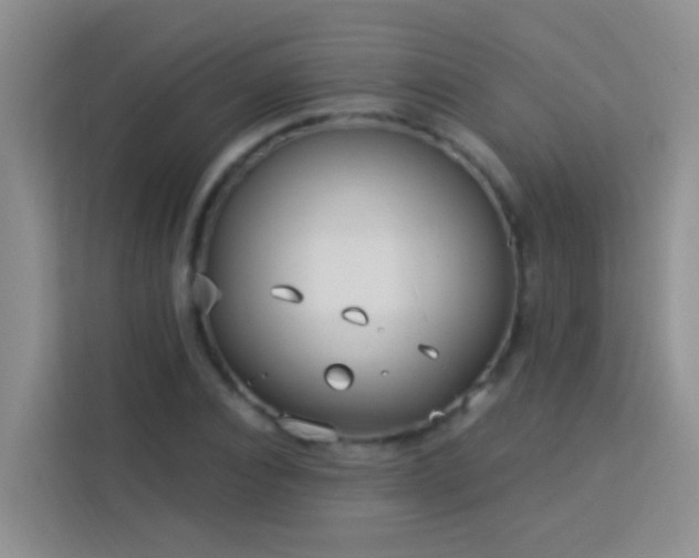 X0000114070928200910051335