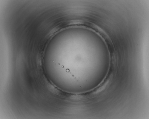 X0000114070929200910051335