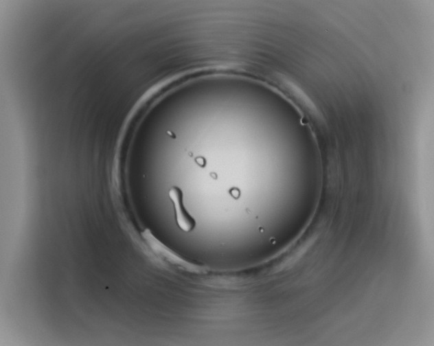 X0000114070932200910051335