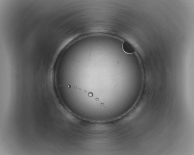 X0000114070933200910051335