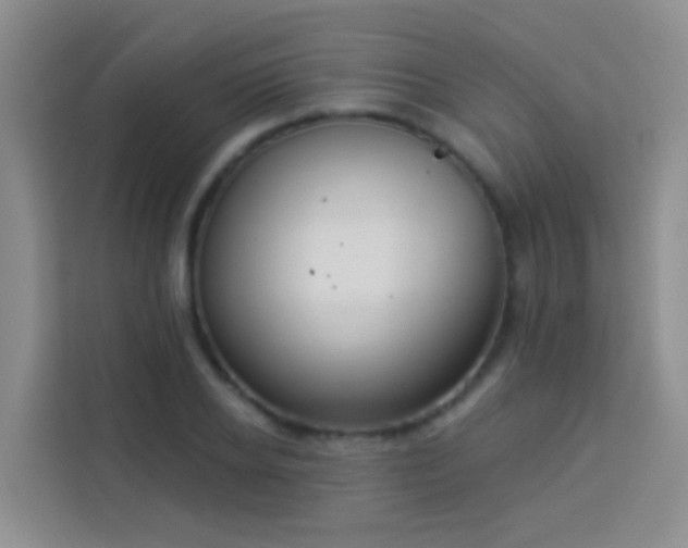 X0000114070934200910051335