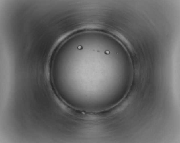 X0000114070935200910051335