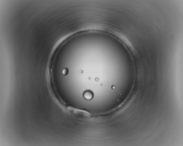 X0000114070936200910051335