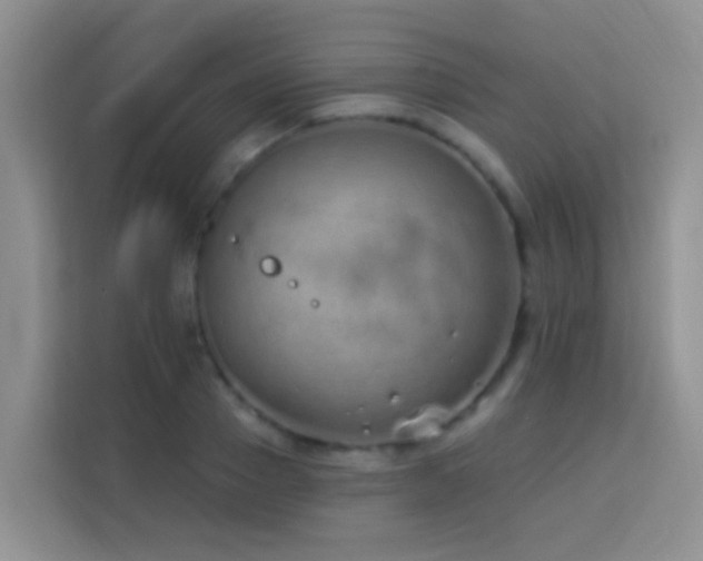 X0000114070937200910051335