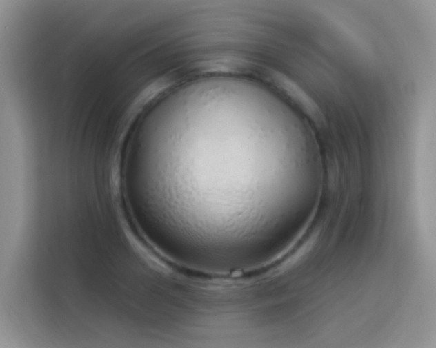 X0000114070938200910051335