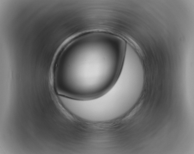 X0000114070940200910051335