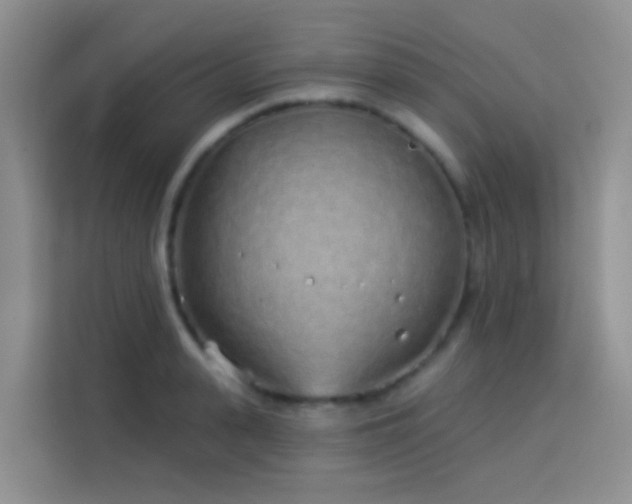 X0000114070943200910051335