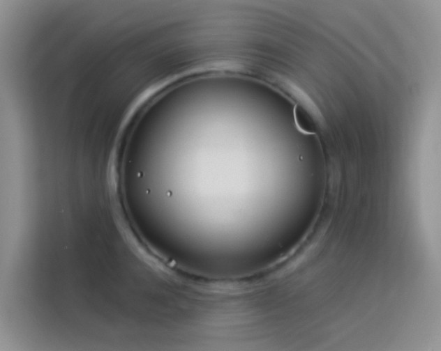 X0000114070944200910051335