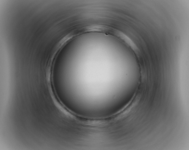 X0000114070946200910051335