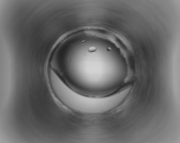 X0000114070950200910051335