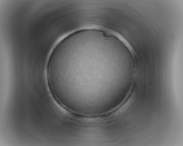 X0000114070951200910051335