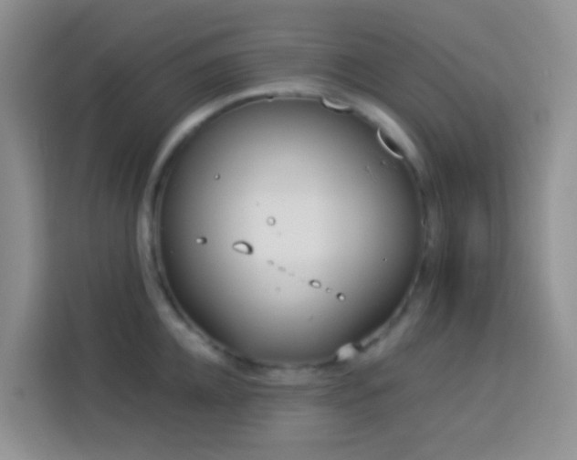 X0000114070952200910051335