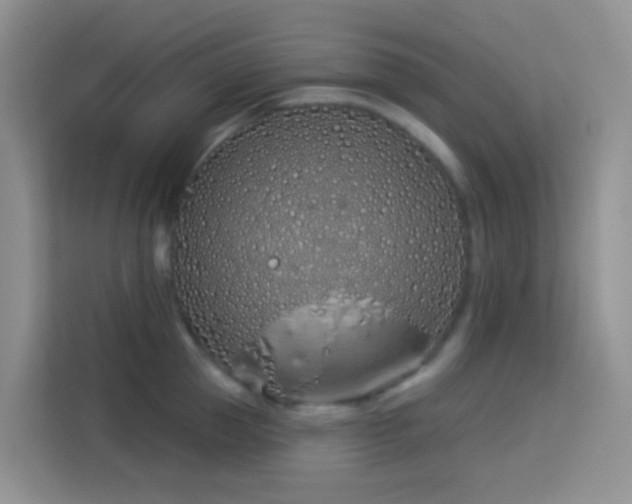 X0000114070953200910051335