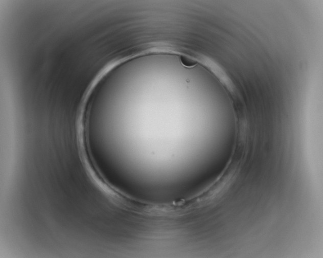 X0000114070955200910051335