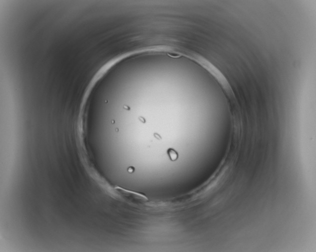 X0000114070956200910051335