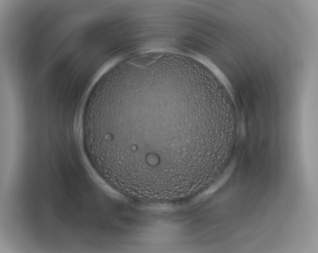 X0000114070957200910051335