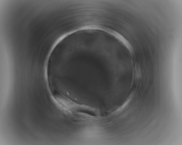 X0000114070958200910051335