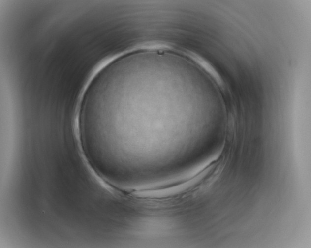 X0000114070959200910051335