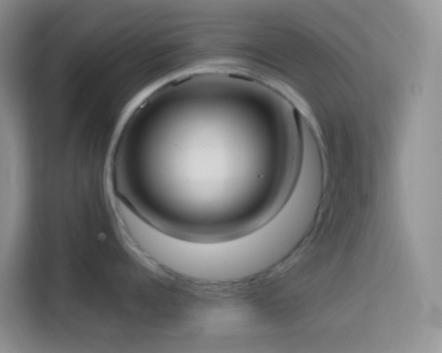 X0000114070960200910051335