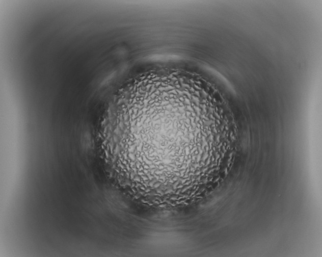 X0000114070966200910051335