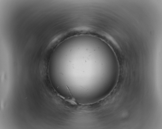 X0000114070967200910051335