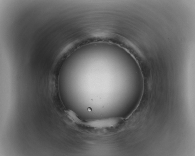 X0000114070968200910051335