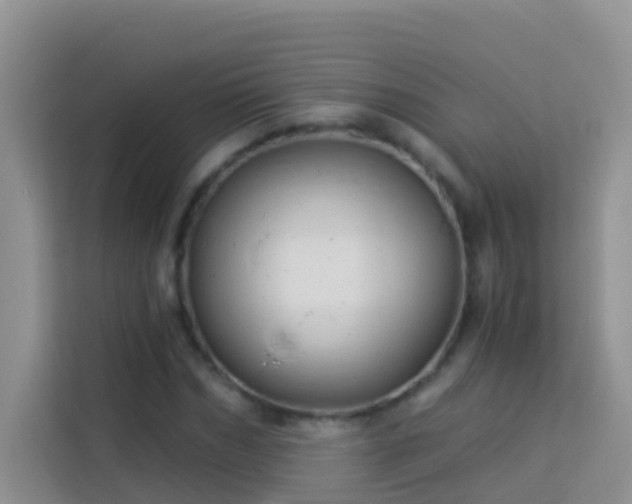 X0000114070970200910051335