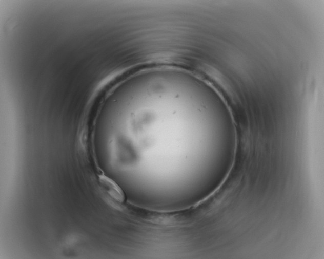 X0000114070971200910051335