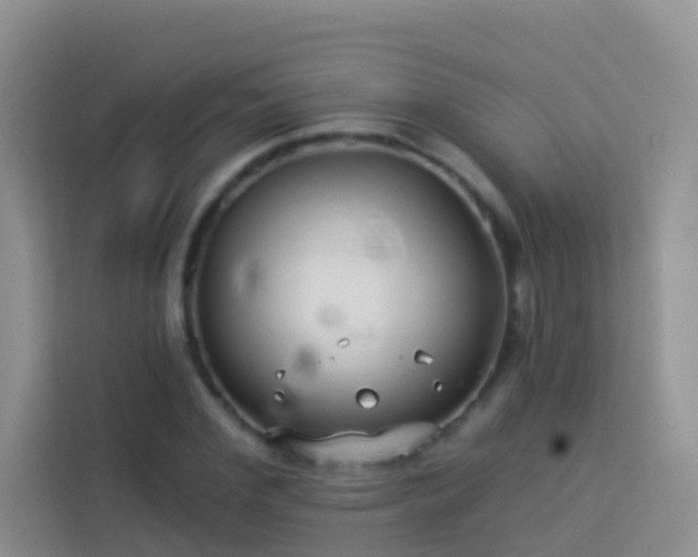 X0000114070972200910051335